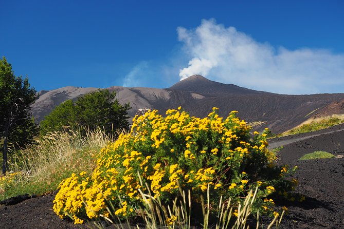 etna-trekking-to-the-craters-eruption-of-2002-2