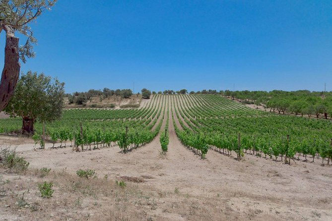 etna-wine-and-food-volcanic-weekend-immersion-tour-private-experience