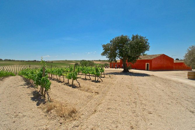 etna-wine-and-food-volcanic-weekend-immersion-tour-private-experience