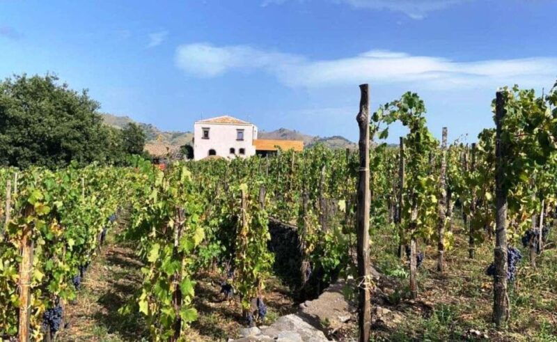 etna-wine-tasting-and-food-tour