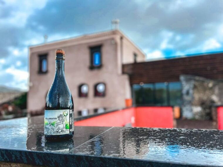 etna-wine-tasting-and-food-tour