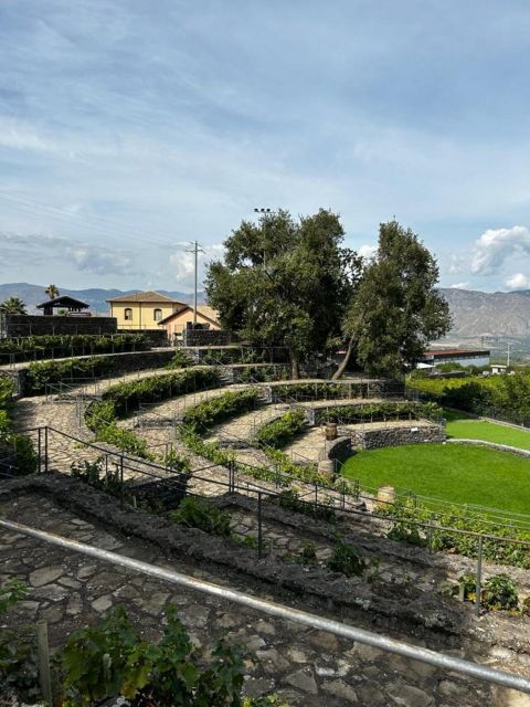 etna-wine-tasting-and-food-tour