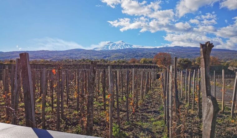 etna-wine-tour-2