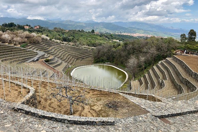 etna-wine-tour-experience
