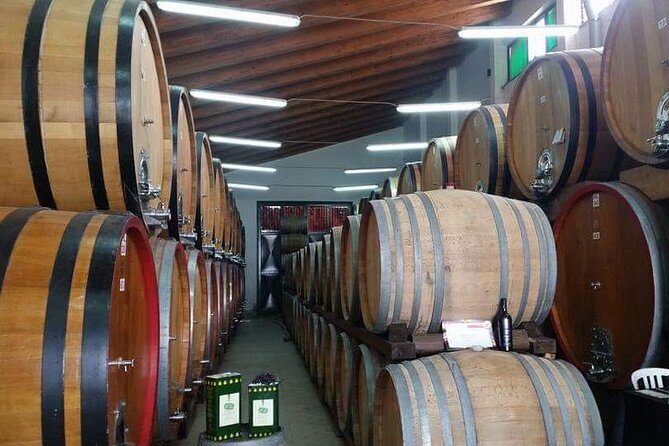 Etna Wineries Tour - Introduction