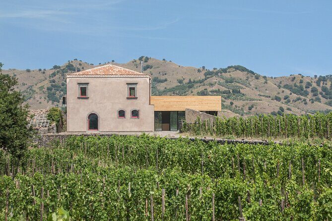 Etna Wineries Tour - What You’ll Experience and Why It Matters