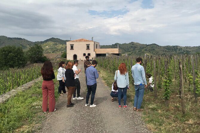 Etna Wineries Tour - Small Groups from Taormina - The Itinerary in Detail