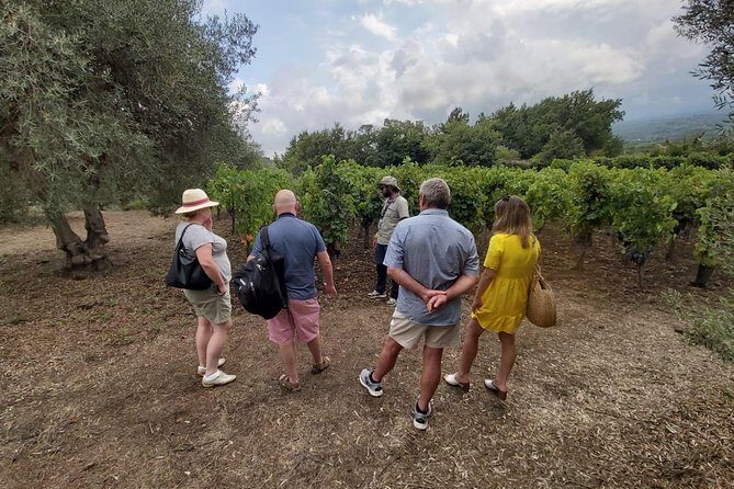 Etna Wineries Tour - Small Groups from Taormina - Who Should Book This Tour?