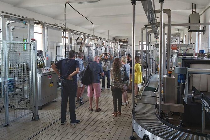 Etna Wineries Tour - Small Groups from Taormina - Final Thoughts