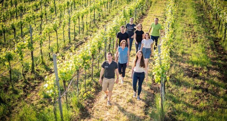 etna-winery-wine-food-tasting-private-tour