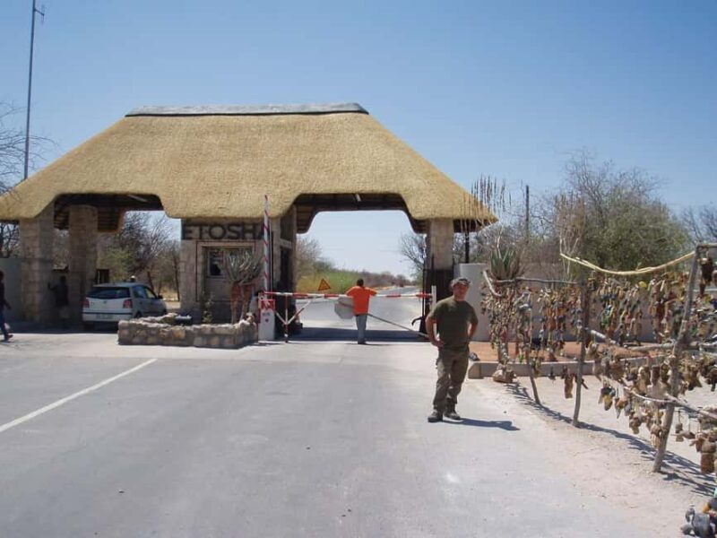 Etosha National Park:Transportation and tours to Etosha park - The Sum Up