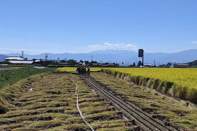 etour-de-matsumoto-private-electric-bike-tour