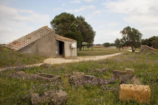 etruscan-wonders-driver-only-self-touring