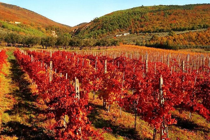 etruscans-pitigliano-and-wine-tasting-private-tour