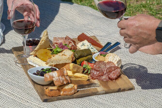 eTukTuk Adventure from Shirvington Wines - McLaren Vale - A Detailed Look at the eTukTuk Experience