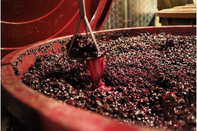 etyek-private-half-day-wine-tasting-tour-from-budapest