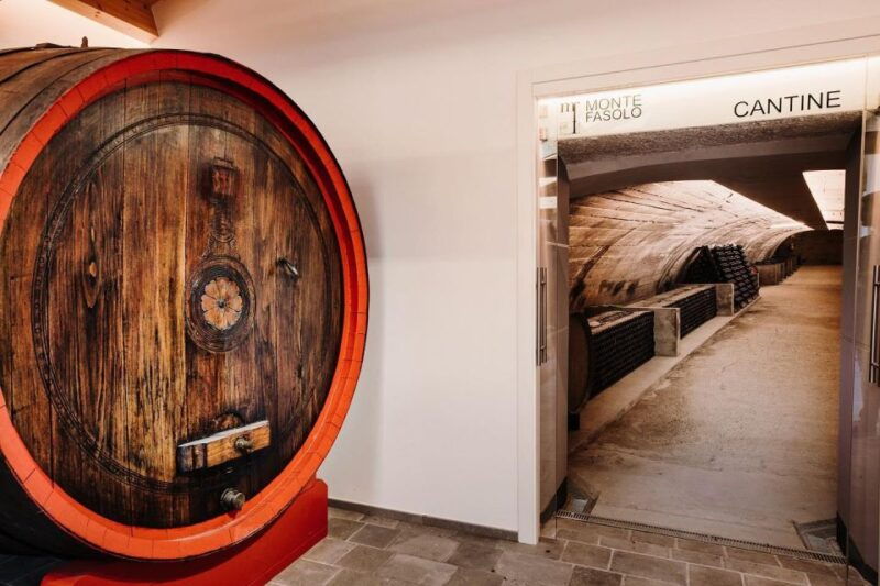 euganean-hills-guided-wine-tour-with-tasting-from-padua