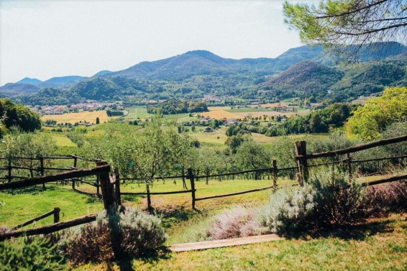euganean-hills-guided-wine-tour-with-tasting-from-padua