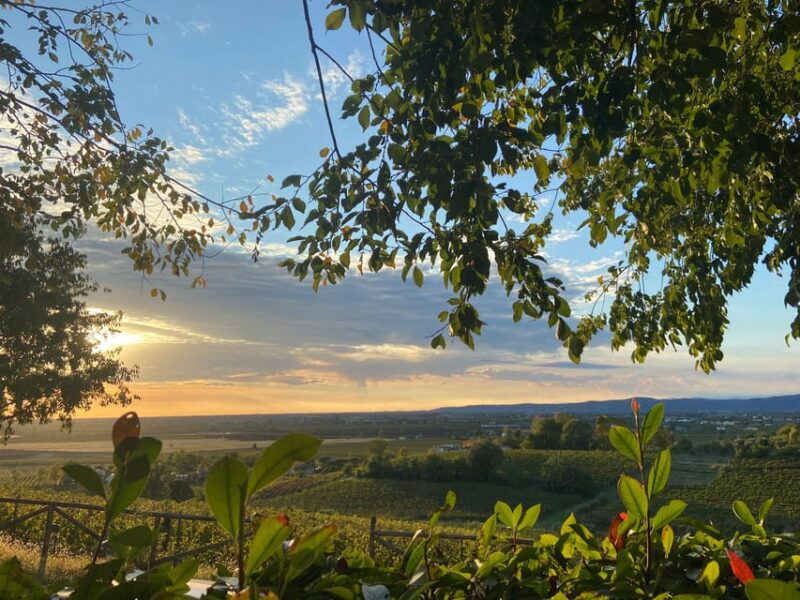 euganean-hills-tasting-of-the-most-significant-wines-and-vineyard-tour