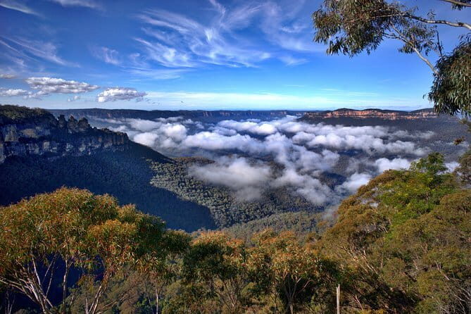 Eungella Platypus Tour - Who Will Love This Tour?