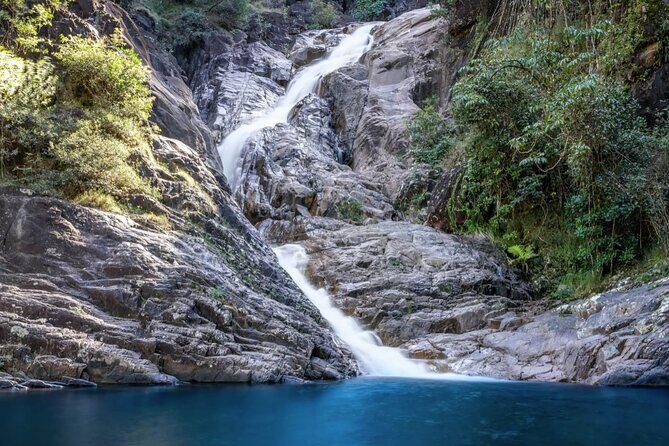 Eungella Platypus Tour - Practical Details & What to Expect