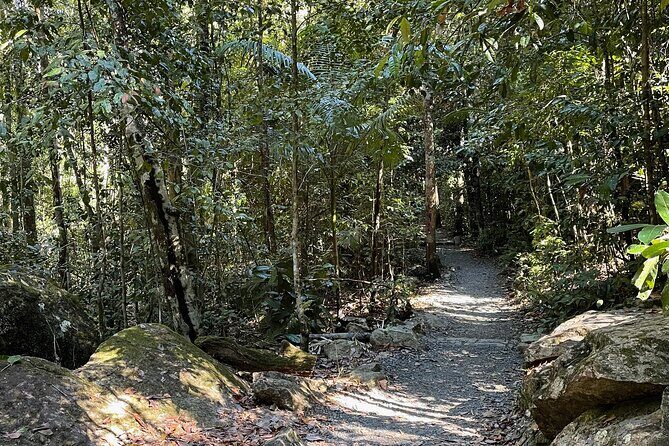 Eungella Platypus Tour - Authentic Insights from Guest Feedback