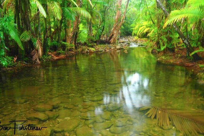 Eungella Platypus Tour - What Makes This Tour Special