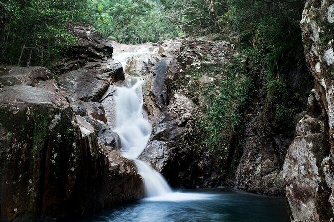Eungella Platypus Tour - Who Will Love This Tour?