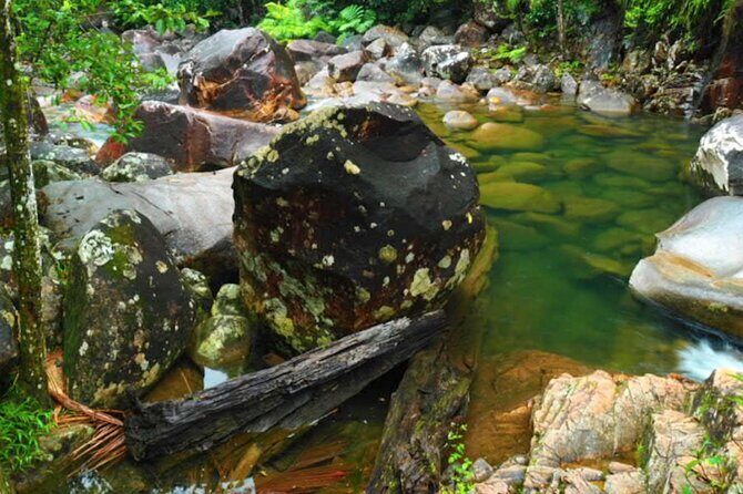 Eungella Platypus Tour - Final Thoughts: Is It Worth It?