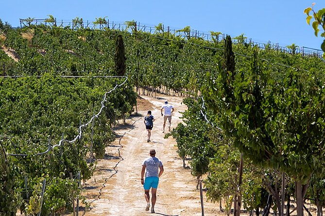 euphoria-vineyard-tour-wine-tasting