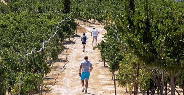 euphoria-wine-tour-tasting-at-douloufakis-vineyards