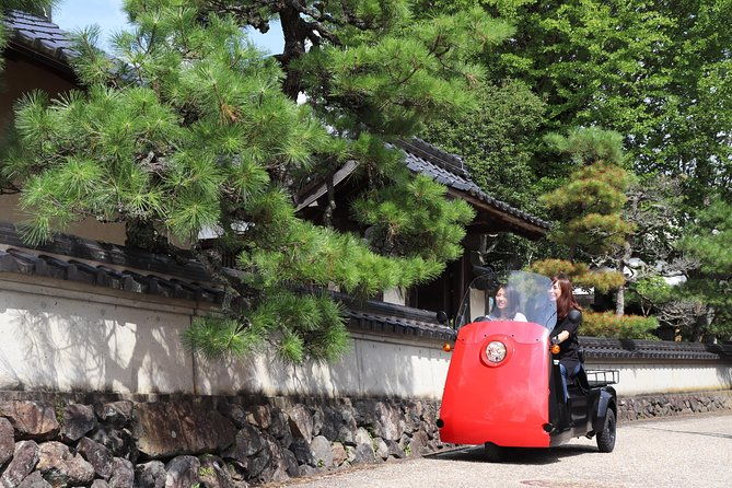 ev-car-rental-basket-group-local-tour-guide