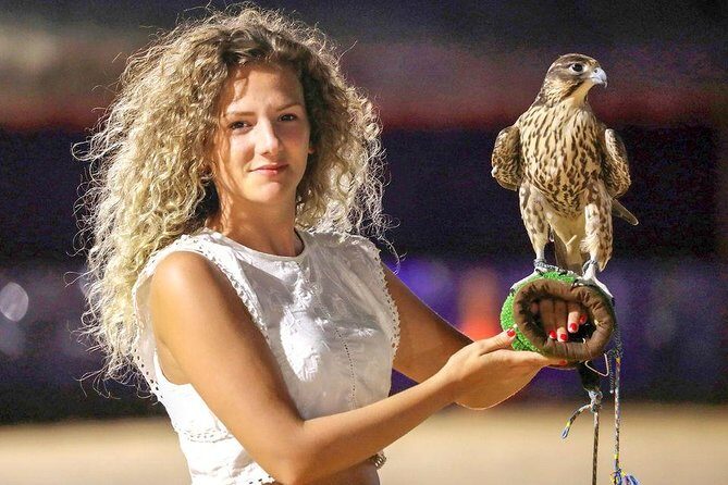 Evening Abu Dhabi Desert Safari & BBQ Dinner- Standard Tour - What to Expect from the Tour Experience