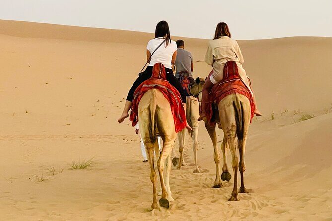 Evening Desert Safari Abu Dhabi with BBQ Dinner & Shows - Final Thoughts