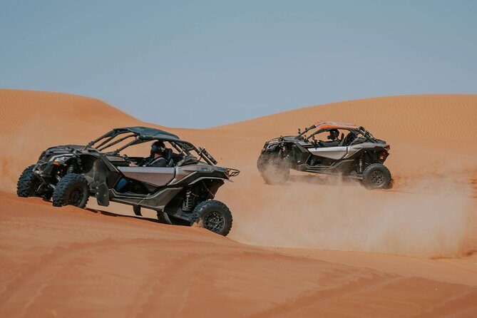 Evening Desert Safari & Adventure Dune Buggy - Who Should Consider This Tour?