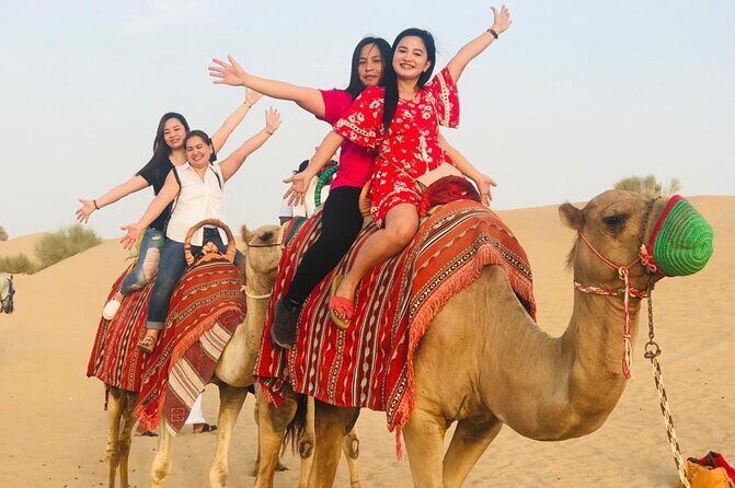 Evening Desert Safari Camel Ride Dinner Live Shows in Abu Dhabi - Value and Price Analysis