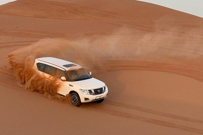 Evening Desert Safari Camel Ride Live Shows Shisha Dinner - The Experience Through the Eyes of Reviewers