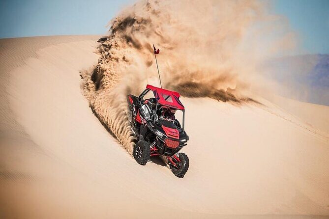 Evening Desert Safari Camel Ride Live Shows Shisha Dinner - Practical Tips for Future Travelers
