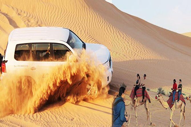 Evening Desert Safari Dubai with BBQ Dinner (Pick Up By Bus) - Who Will Love This Tour?
