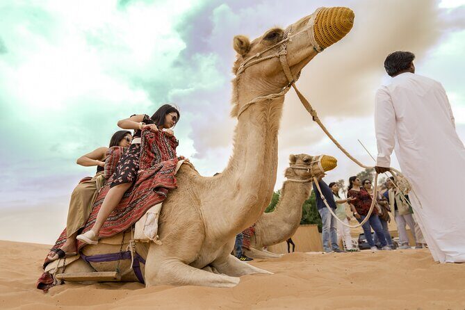 Evening Desert Safari Dubai with BBQ Dinner & Shows - Key Points