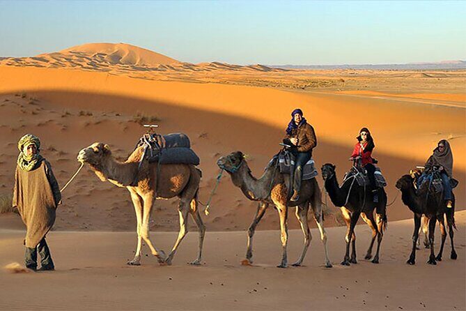 Evening Desert Safari Dubai with Belly Dance & BBQ Dinner - Who Should Consider This Tour?
