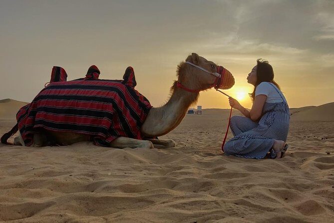 Evening Desert Safari in Dubai, Sandboard & BBQ Dinner - The Experience from the Traveler’s Perspective