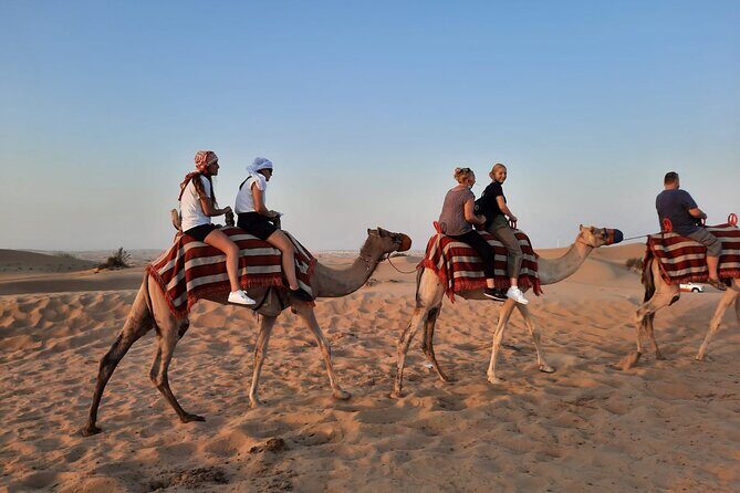Evening Desert Safari in Dubai with Dune Bashing , Camel Ride and BBQ Dinner - The Itinerary Breakdown: What to Expect from Start to Finish