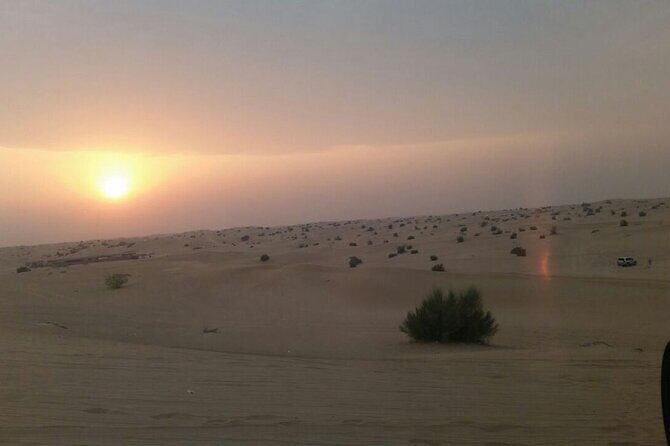 Evening Desert Safari Tour With Live Enterterment And BBQ Dinner - Sunset & Photo Stops