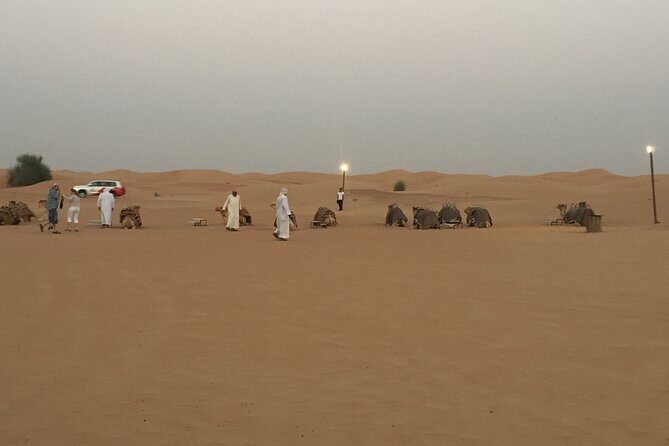 Evening Desert Safari Tour With Live Enterterment And BBQ Dinner - What to Expect: Real Insights