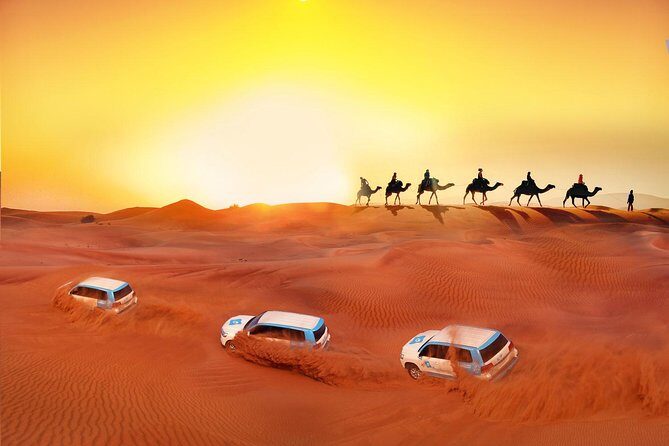 Evening Desert Safari with BBQ Dinner - Practical Details: What You Need to Know