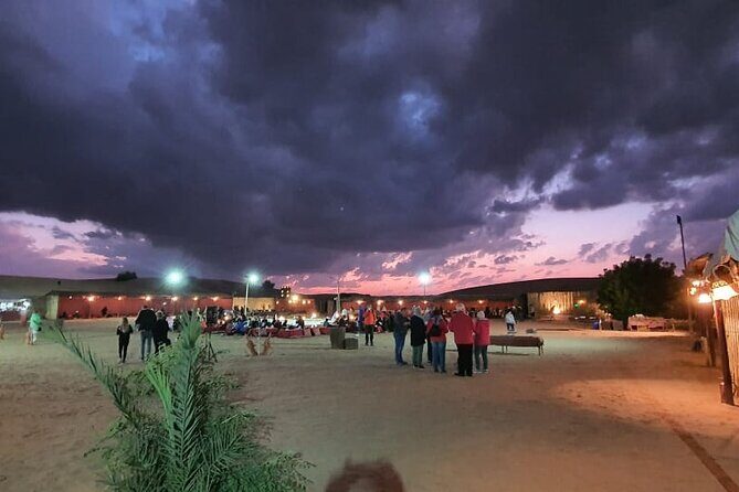 Evening Desert Safari with Bbq Dinner and Entertainment - Who Will Love This Tour?