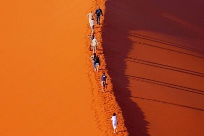 Evening Desert Safari with Belly Dance and BBQ Dinner and Camel Ride - Who is this tour best for?