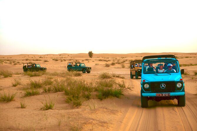 Evening Heritage Safari by Vintage G-Class at Al Marmoom Oasis - Introduction