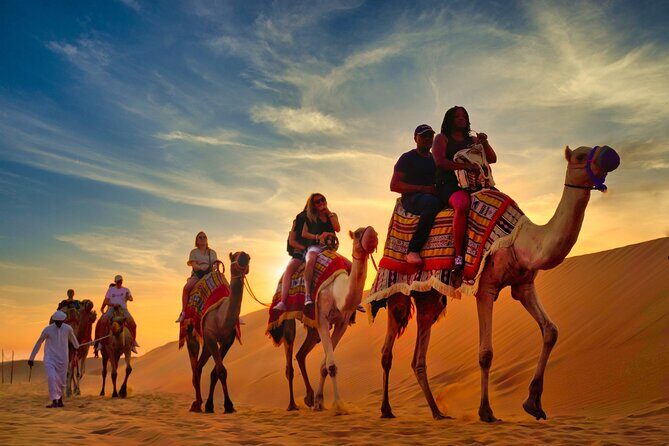 Evening Heritage Safari by Vintage G-Class at Al Marmoom Oasis - Wildlife Spotting, Bird Watching & Flamingo Stop
